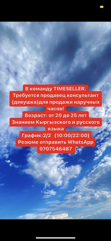 продажа сотовых телефонов в бишкеке: Требуется продавец консультант для магазина наручных часов! Резюме