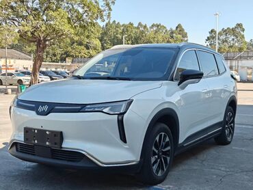 Weltmeister: Weltmeister W6, 2021 г., На заказ — 10