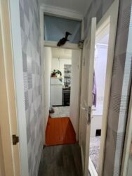 Продажа квартир: 2 комнаты, 45 м², 2 этаж, Косметический ремонт — 5