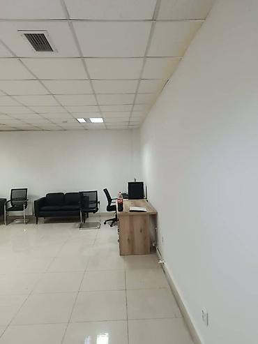 Покраска: Покраска стен, покраска потолков, покраска крыш. На масляной основе — 23