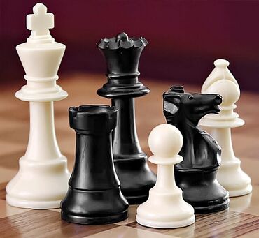 bajkerski prsluci cene: Šahovski trener sa licencom daje časove šaha početni nivo .Dolazim na