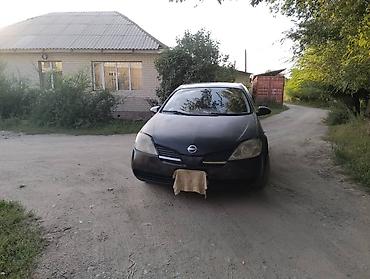 степ эреф 1: Nissan Primera: 2004 г., 1.8 л, Кол менен иштөөчү, Бензин, Лифтбек — 1