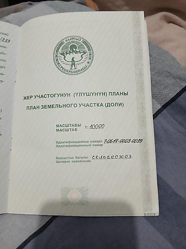 ферма купить: 500 соток, Для сельского хозяйства — 3