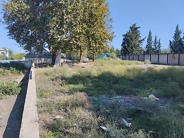 kirayə ev 20 ci sahə: 42 sot, Biznes üçün, Makler, Kupça (Çıxarış) — 1