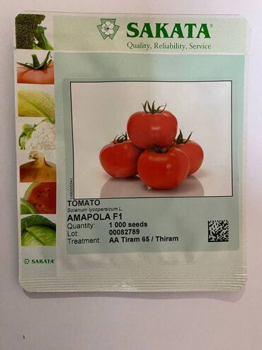 Цветы: Семена томата Амаполо F1от компании sakata для открытого грунта (1000