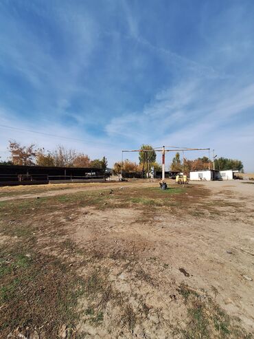 Продажа участков: 44 соток, Красная книга — 1