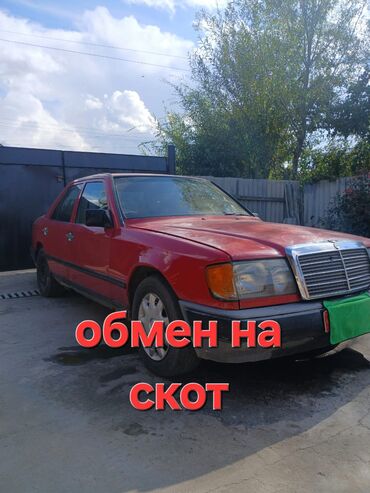 Mercedes-Benz: Mercedes-Benz E-Class: 1988 г., 2.3 л, Механика, Бензин, Седан — 1