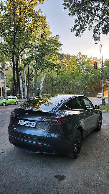 эстима левый: Tesla Model Y: 2024 г., Автомат, Электромобиль, Кроссовер — 6