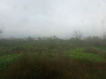 Torpaq sahələrinin satışı: 400 sot, Kənd təsərrüfatı, Maklerlər narahat etməsin — 30