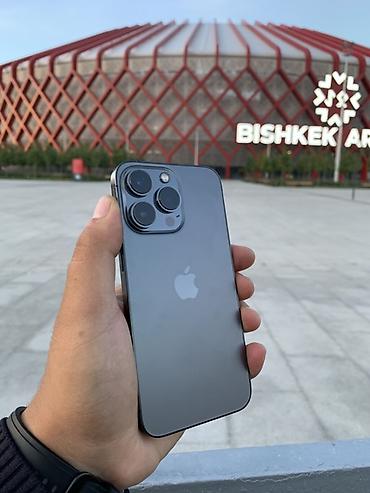IPhone 13 Pro, Б/у, 256 ГБ, Графит, Защитное стекло, Чехол, 79 %