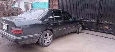 Mercedes-Benz: Mercedes-Benz W124: 1995 г., 3.2 л, Автомат, Бензин, Седан