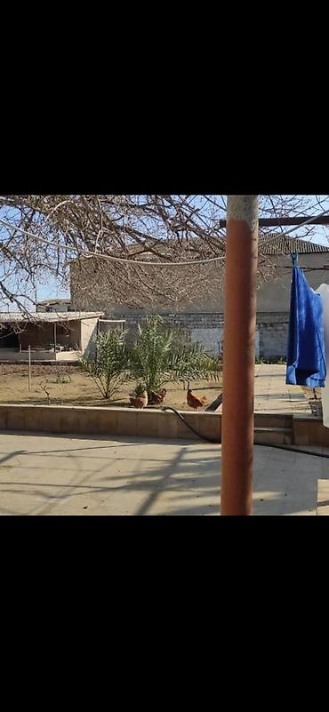 12 sot, Tikinti, Makler, Kupça (Çıxarış)