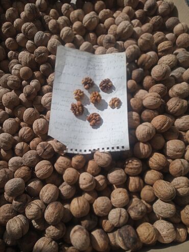Фрукты: Грецкие орехи два вида ; Средний и поменьше . 100 сом за кг . Всего