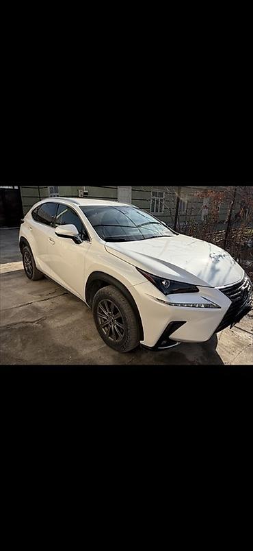 лексус isf: Lexus NX: 2019 г., 2 л, Автомат, Бензин, Кроссовер — 1