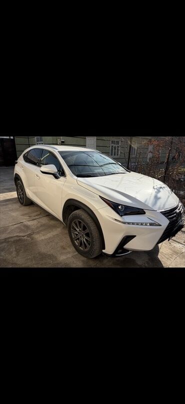 Lexus: Lexus NX: 2019 г., 2 л, Автомат, Бензин, Кроссовер — 1
