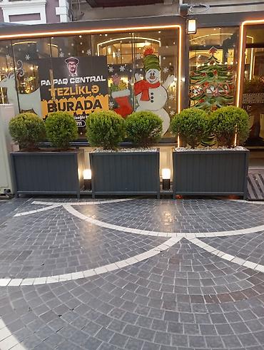 turizm şirkəti satılır: Isdelinen Dipceklerin hazirlamasi Metresi 90 azn — 1