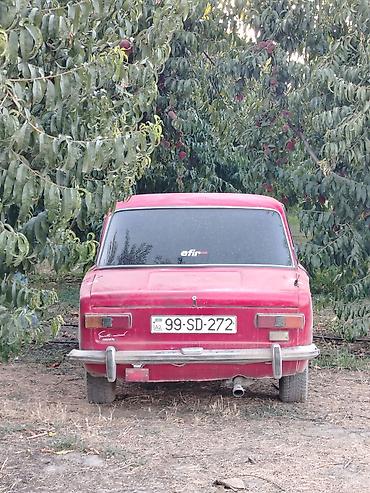 ВАЗ (ЛАДА): VAZ 2101, qırmızı rəng, sedan kuzov, 4 qapı. Xüsusiyyətlər: - Arxa — 5