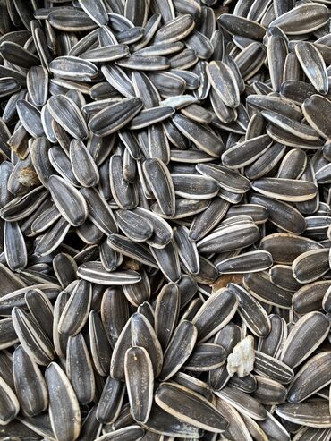 ароматизаторы для дома бишкек: Семичка