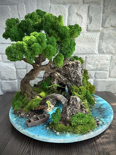 Другой декор и предметы интерьера: В переводе с японского Бонсай означает «дерево, выращенное в блюде» — 49
