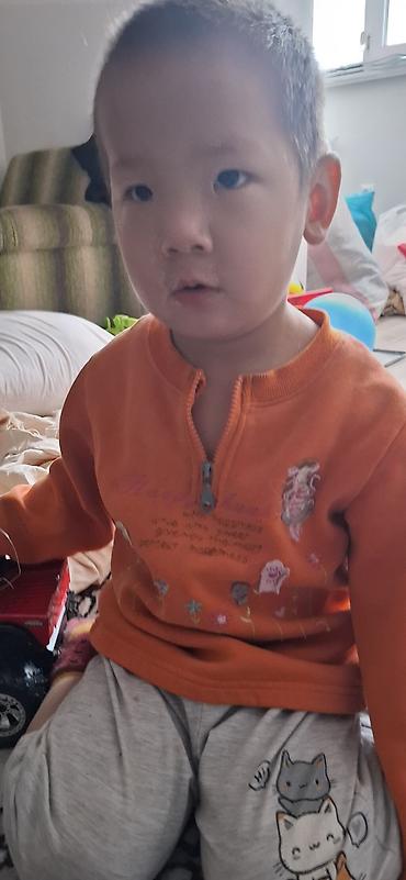 Долгосрочная аренда квартир: 1 комната, Собственник — 10