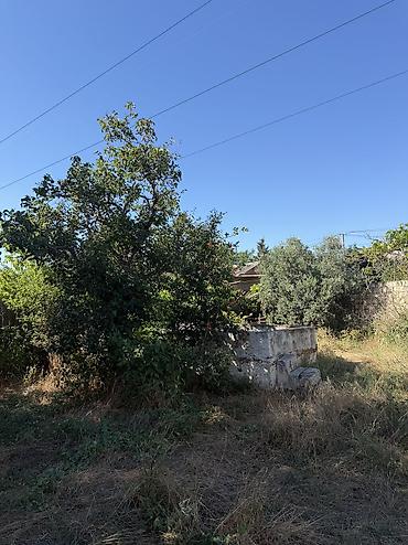 ceyranbatanda: Ceyranbatanda xüsusi təklif: 8 sot torpaq sahəsi və yarımçıq tikili — 6