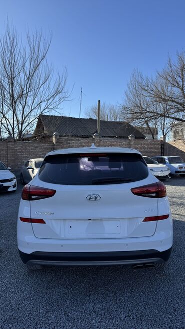 Hyundai: Hyundai Tucson: 2019 г., 2 л, Автомат, Дизель, Кроссовер — 16