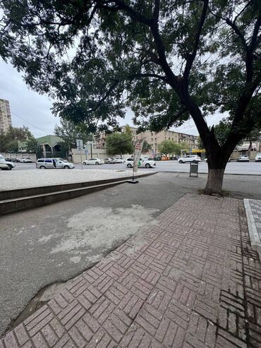 Ofislər: Obyekt icarəyə verilir.Rahat yerləşimdə,işlək küçədə yerləşir.Elmlər — 9