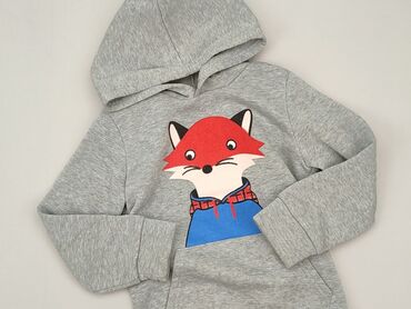 Sweatshirts: Sweatshirt, 4-5 years, 104-110 cm, condition - Very good