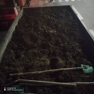 Toxumlar: Şəhid ailələrinə çatdırılma pulsuzdur. Qara torpaq Şamaxı İsmayıllı — 19