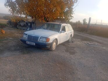 транспорт машина: Mercedes-Benz W124: 1995 г.