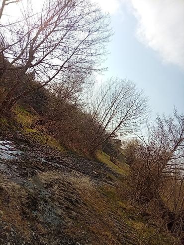 Torpaq sahələrinin satışı: 38 sot, Kənd təsərrüfatı, Mülkiyyətçi, Kupça (Çıxarış) — 8