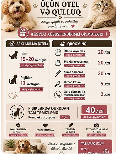 goyercin novleri: Heyvanlar üçün otel və qulluq xidməti BAYIL Sevimli ev heyvanınız — 1
