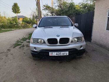 огнетушитель для авто: BMW X5 серебристого цвета, внедорожник с полным приводом. Автомобиль