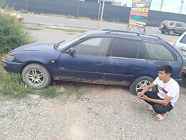 тойота корола 1997: Toyota Corolla: 1997 г., Механика, Дизель, Универсал — 1