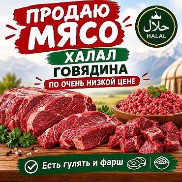 Вырезка, Фарш, Туша