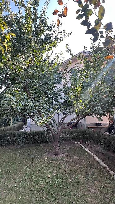 купить гараж бишкек: 6 комнат и более, 170 м², 5 соток, Селекционное, Собственник — 10