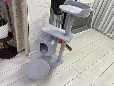 минни ат: Самовывоз состояние как новый — 1