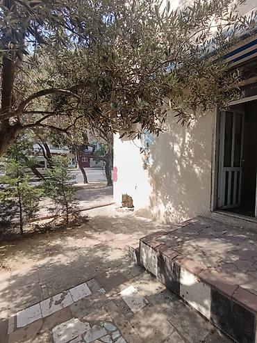 avto qaraj az: Obyekt – birbaşa yola baxan girişli məkan ikiqat qapı, istilik mərkəzi — 3