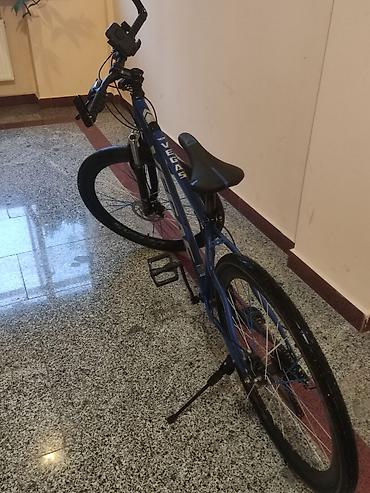 wolf bicycle: Endirim olacağ ELANI TAM OXUYUN SONRA NARAHAT ELİYİN !!! Vegas 29 — 2