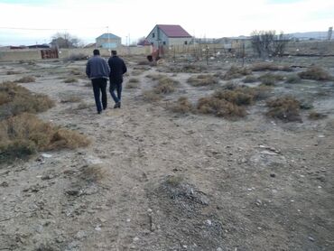 Ev üçün digər mallar: Yasma baglronda 6 sot torpax sahasi satilir.Isiq su qaz var Senedi -da lalafo.az — 7 Ev üçün digər mallar: Yasma baglronda 6 sot torpax sahasi satilir.Isiq su qaz var Senedi — 7