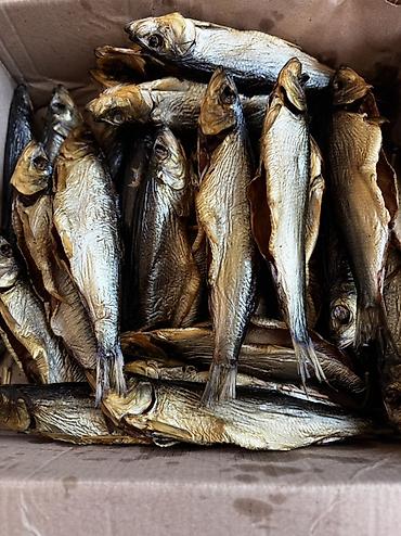 кыргыз сиги: 🐟 Приглашаем магазины и торговые точки к сотрудничеству! Предлагаем — 4