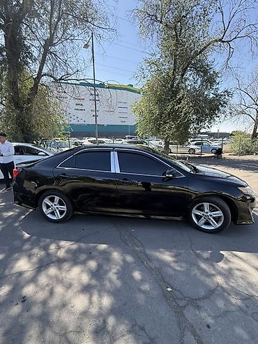 thule багажник: Toyota Camry: 2014 г., Автомат, Бензин, Седан — 4