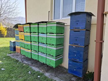 heyvanlara verilen xususi adlar: Ящики для пчел