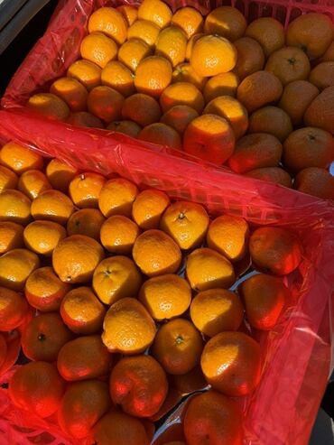 Мандарины: Мандарины — 2