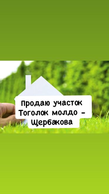 центральная мечеть: Для бизнеса, Тех паспорт, Договор купли-продажи