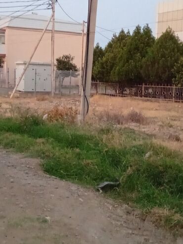 Torpaq sahələrinin satışı: 8 sot, Tikinti, Mülkiyyətçi, Kupça (Çıxarış) — 7