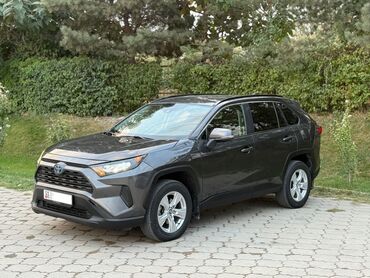 крыло на рекс: Toyota RAV4: 2019 г., 2.5 л, Автомат, Гибрид, Кроссовер