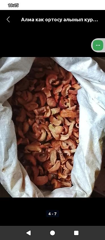 Другие фрукты: Алма как ортосу алынып күндүн нуруна кургатылган курук таптаза өрүк — 13