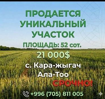 52 соток, Для бизнеса, Договор купли-продажи