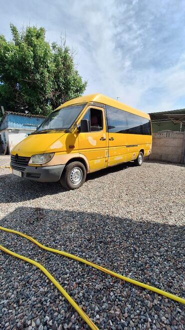 Mercedes-Benz: Mercedes-Benz Спринтер: 2001 г., 2.9 л, Механика, Дизель